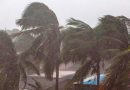 Eta dejó fuertes daños en la actividad pesquera en el Caribe. Esta es la situación de las empresas Eta dejó fuertes daños en la actividad pesquera en el Caribe. Esta es la situación de las empresas