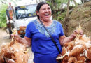 Entrega de 5 mil bonos tecnológicos fortalece economía de familias productoras Entrega de 5 mil bonos tecnológicos fortalece economía de familias productoras