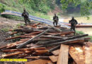 Ejército de Nicaragua ocupó 4 mil 500 pies tablar de madera